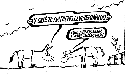 burro.png