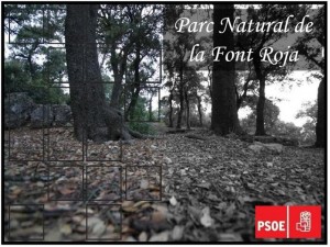 font-roja-small