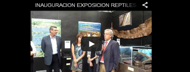 Inauguración exposición reptiles exóticos autóctonos – Museo de la Biodiversidad