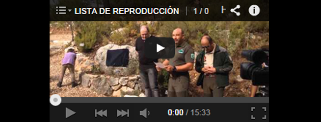 Vídeo homenaje a brigadistas