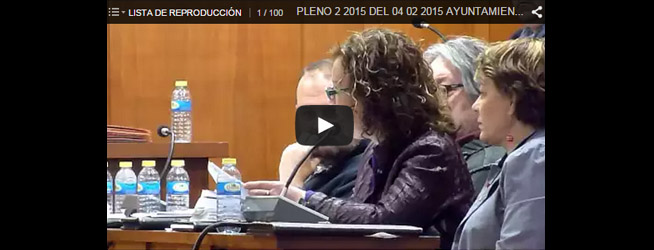 Pleno 2-2015 del 04/02/2015