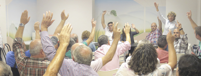 Militantes de la agrupación socialista de Ibi participan en la iniciativa que exige a la gestora del PSOE la elección de Secretario General por primarias.